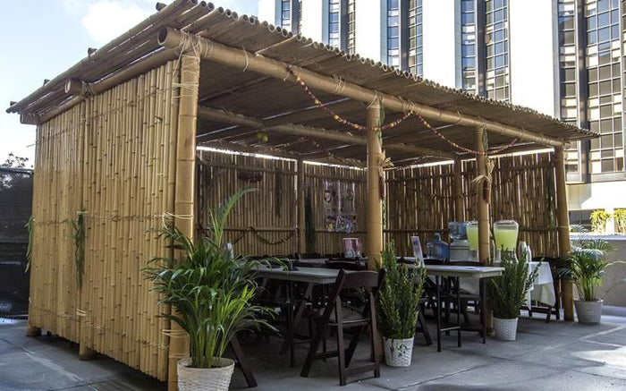 Sukkot Holiday - Alef Bet by Paula