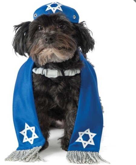 12 Ugly Hanukkah Sweaters for all 8 Nights of Hanukkah - Alef Bet by Paula
