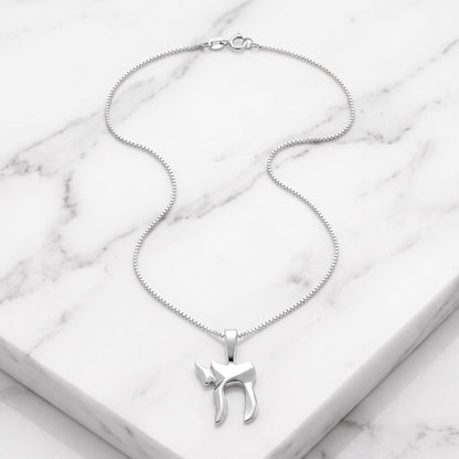 Jewish Chai Necklace in Hebrew Sterling Silver 925, wear your blessings every day