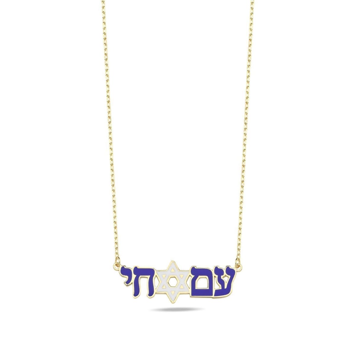Am Yisrael Chai Enamel Necklace: Sterling Silver