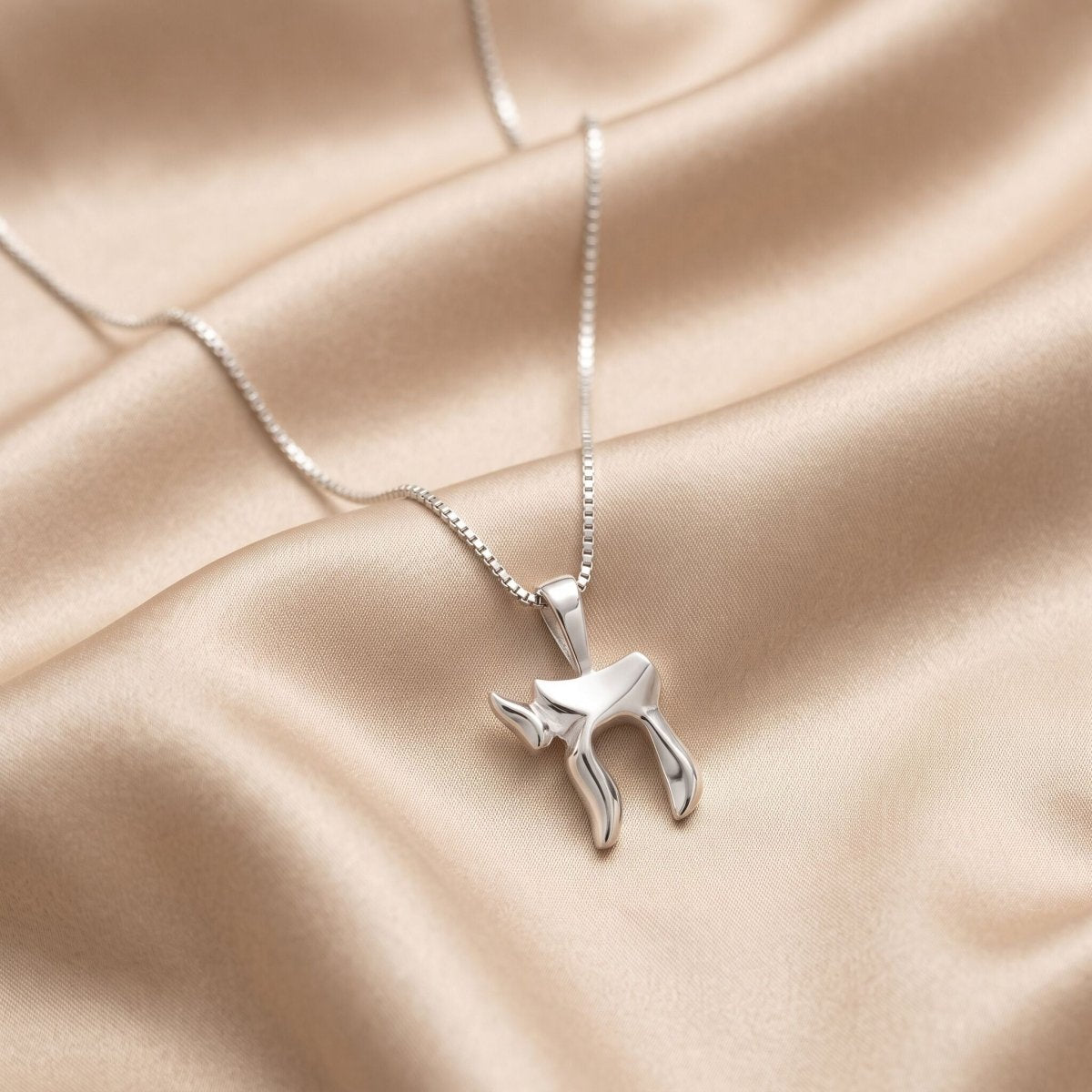 Chai Silver Necklace in Hebrew