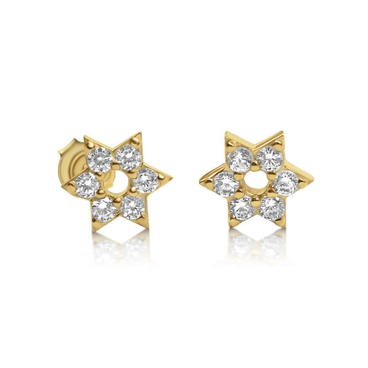 Jewish Star of David Earrings in Silver and Gold
