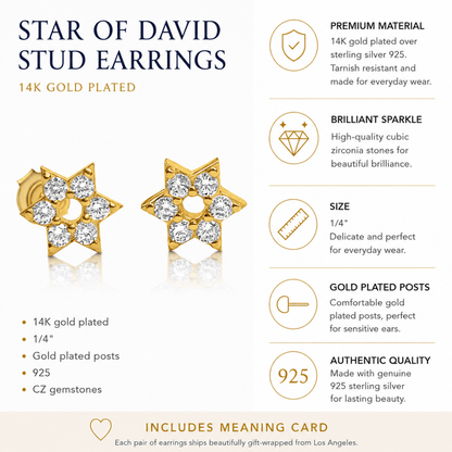Jewish Star of David Earrings in Silver and Gold