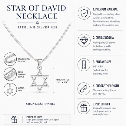 Silver Star of David charm suspended on polished snake chain necklace by Alef Bet
