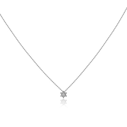 Judaica Star of David Necklace