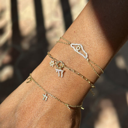 Map of Israel & Star of David Bracelet: Gold Plated Sterling Silver