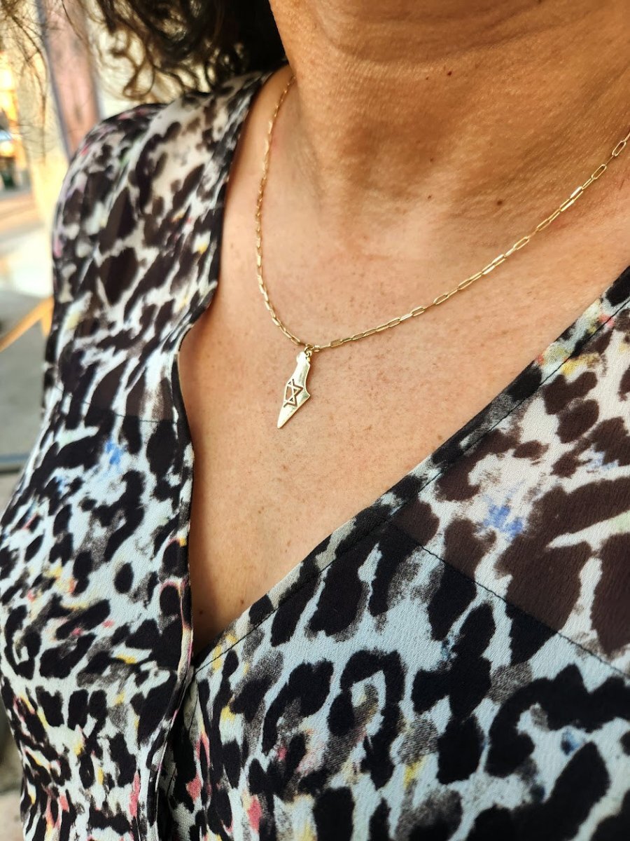 Map Of Israel with Jewish Star on a Paperclip Chain