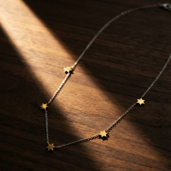 5 two tone jewish star necklace
