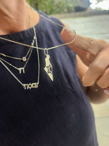 Silver Map of Israel Necklace on Snake Chain