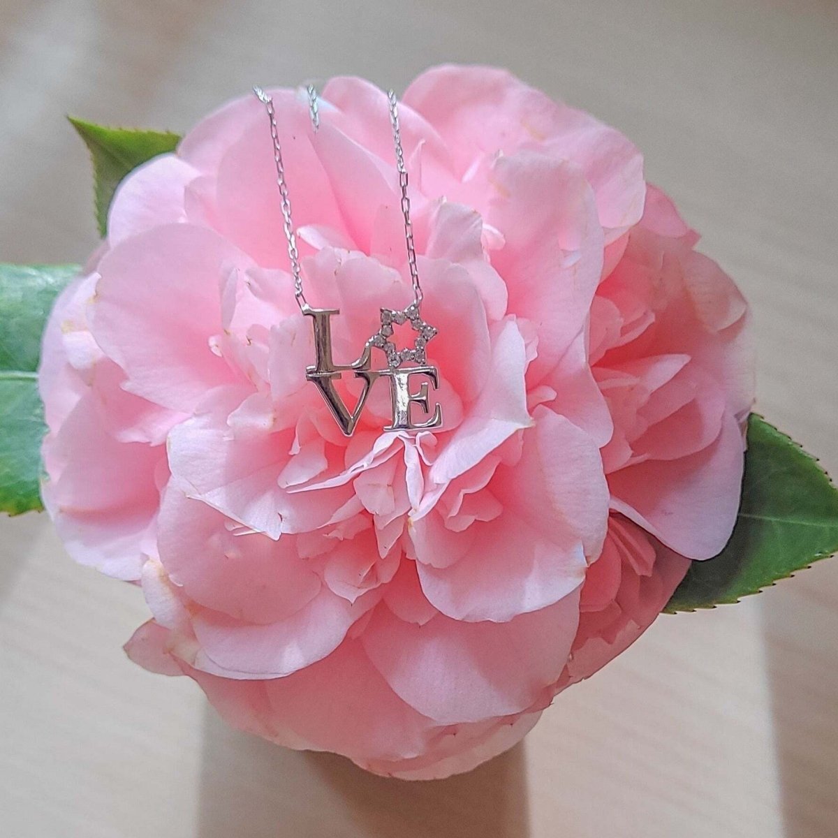 Sterling silver Star of David necklace with cubic zirconia and adjustable chain by Alef Bet