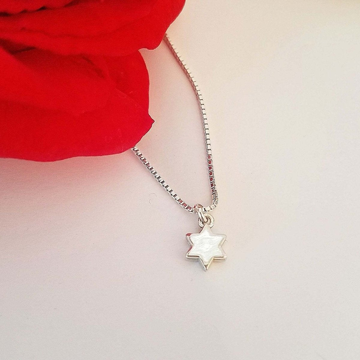 Silver Star of David Necklace | Tiny and Petite