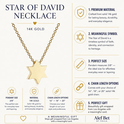 14k gold Star of David necklace with satin finish chain by Alef Bet