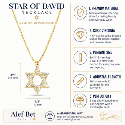 Star of David Necklace in Yellow Gold Plated Sterling Silver 925 with Pavé CZ