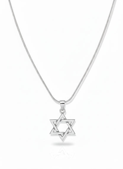 Sterling Silver Star of David Necklace | Men's Jewelry | Alef Bet