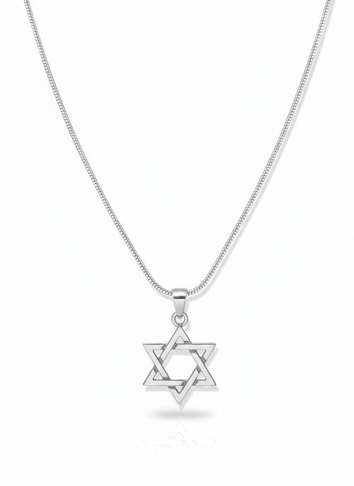 Sterling Silver Star of David Necklace | Men's Jewelry | Alef Bet