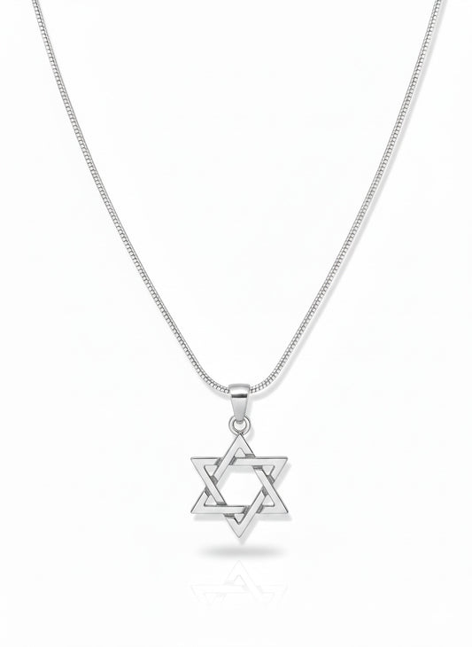 Sterling Silver Star of David Necklace | Men's Jewelry | Alef Bet