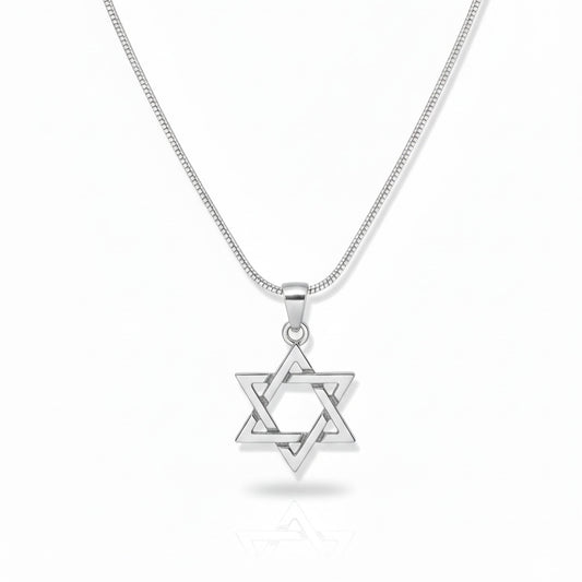 Sterling Silver Star of David Necklace | Men's Jewelry | Alef Bet
