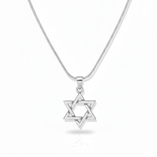 Sterling Silver Star of David Necklace | Men's Jewelry | Alef Bet